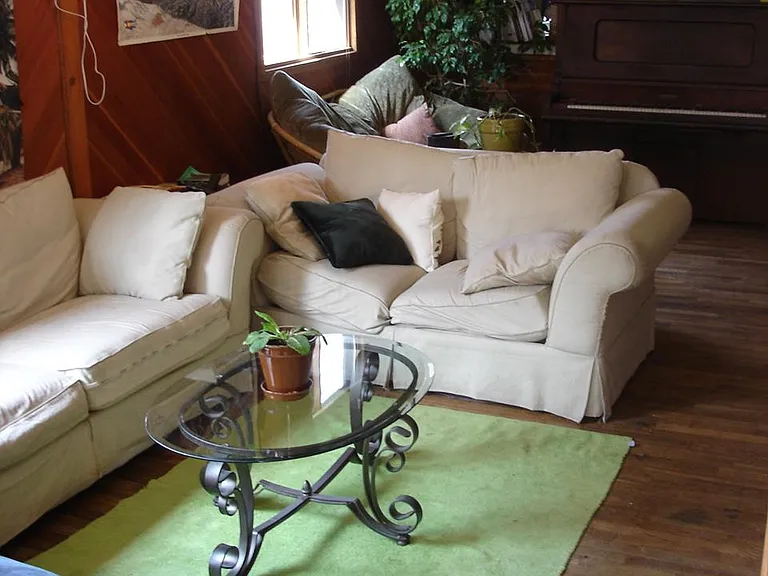 513 University Ave — Photo 3