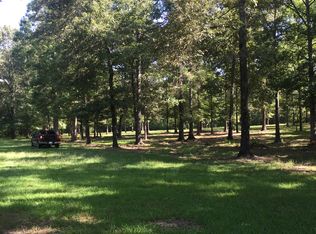 4131 Moncure Marble Rd, Terry, MS 39170