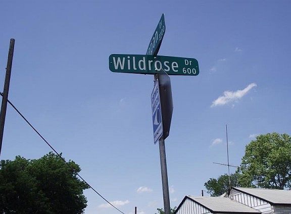 5th image of 540 Wildrose Dr