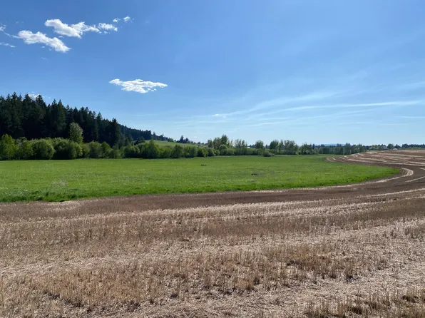 90XX E Little Deep Creek Rd Lot 5, Colbert, WA 99005