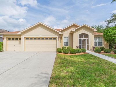 10914 Wildcat Dr, Riverview, FL, 33579