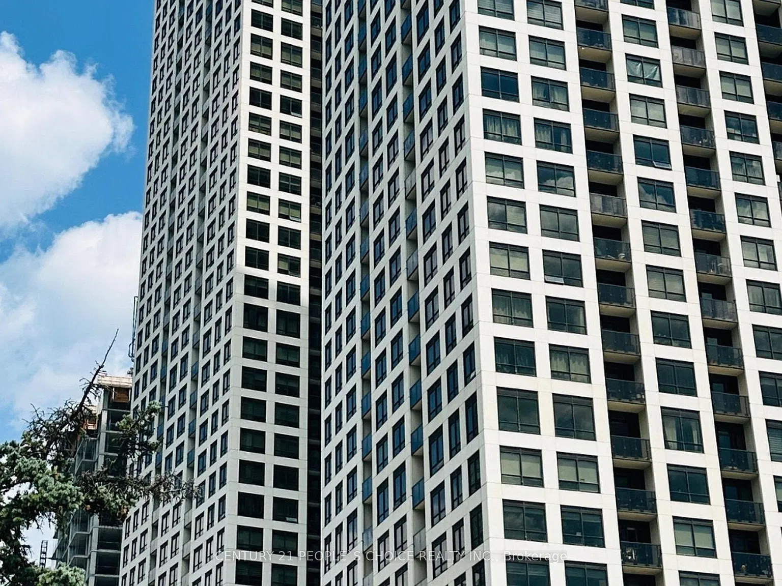 2 bed, $2,350 — Photo 2