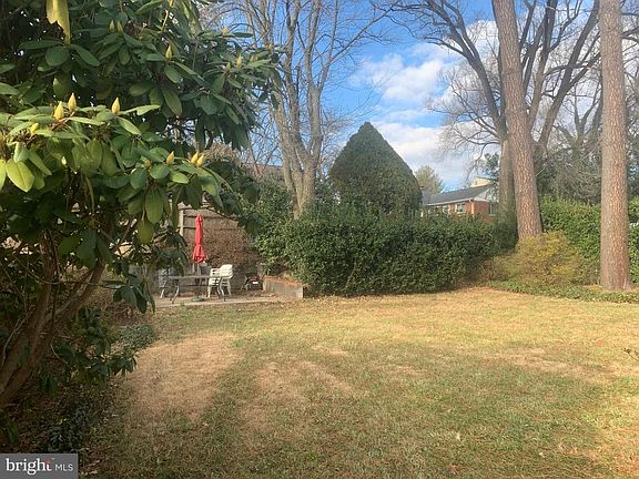 Flat rear yard rimmed by evergreens & trees