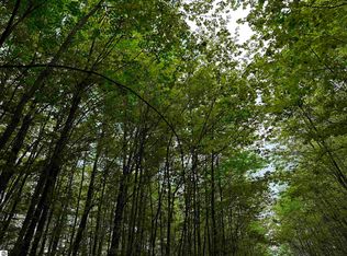 Mancelona Rd, Gaylord, MI 49735