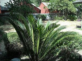 4th image of 1923 Twin Springs Dr