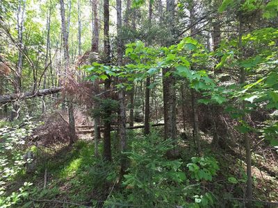 Lot 4 E Solberg Lake Road, Phillips, WI, 54555