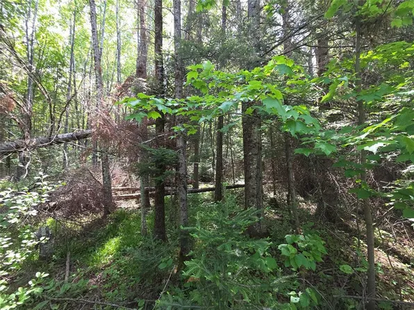 Lot 4 E Solberg Lake Road, Phillips, WI 54555