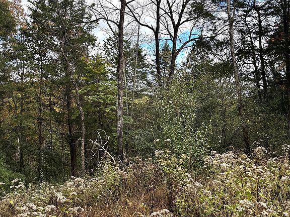 5th image of LOT-247A Tim Tam Rd