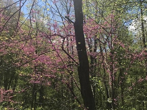 699441E7-3E19-4492-83F6-6F0E32B88F0C