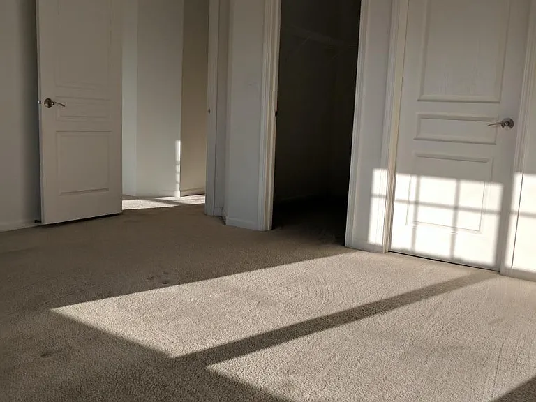 315 Wildflower St — Photo 14