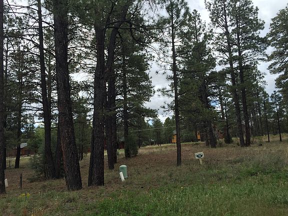 4th image of 5016 Panorama Ct