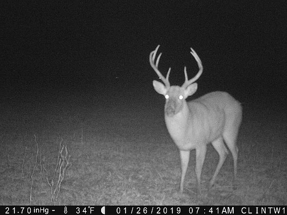 2nd image of 391 Highway 577