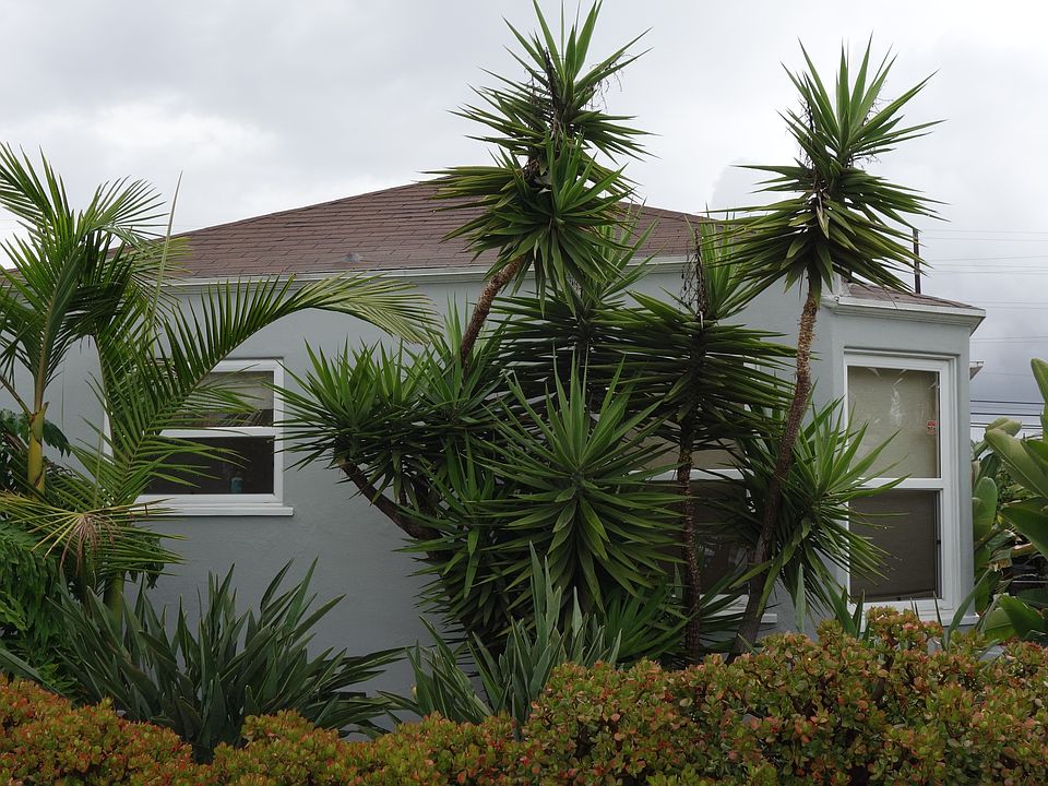 View from Street