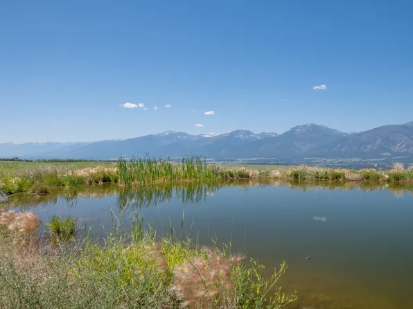 TRACT 4A Lupo Ln, Florence, MT 59833