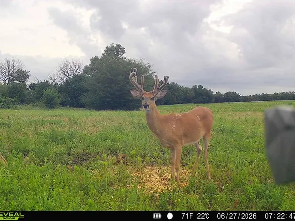 15 Rd & Unique, Moran, KS 66755