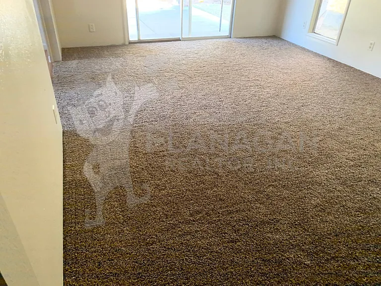 1197 E Alexander Ave — Photo 13