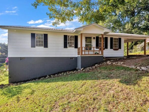 601 Self Ct, Oneonta, AL 35121