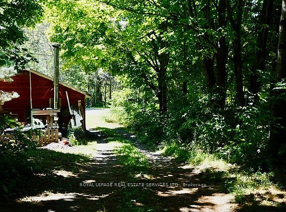 4th image of 1116 Moon River Rd