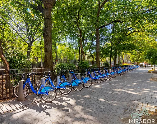 Rented by Mirador Real Estate | media 31