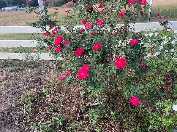 17909 County Road 32