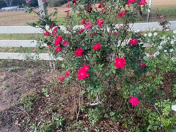 17909 County Road 32, Summerdale, AL 36580