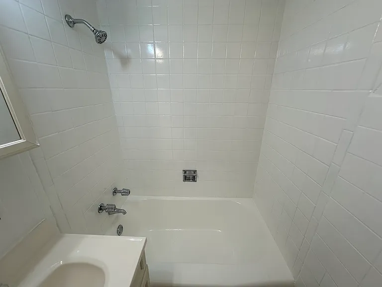 431 E 113th St #3 — Photo 1