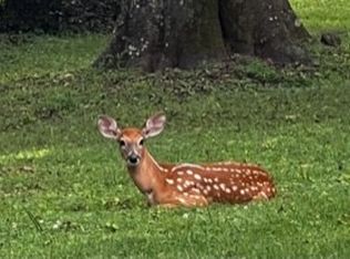 4771 Harpeth Peytonsville Rd, Thompsons Station, TN 37179