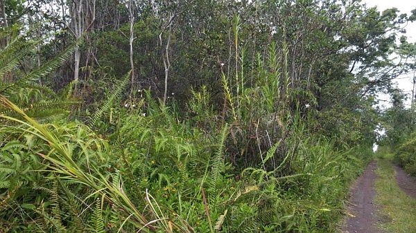 1st image of Kehaulani St Lot 43