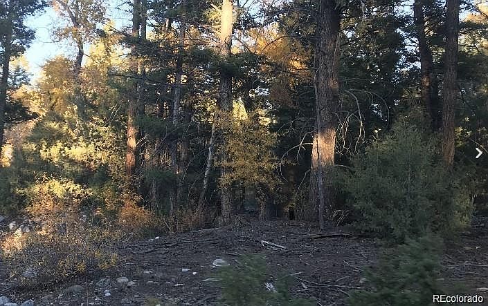 1st image of 109 Deer Run