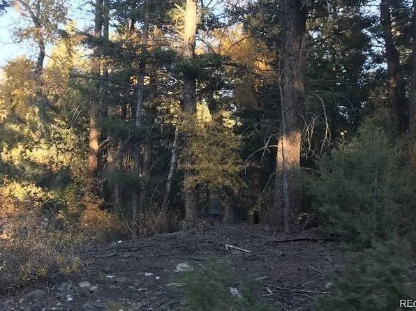 109 109 Deer Run Run, Mosca, CO 81146