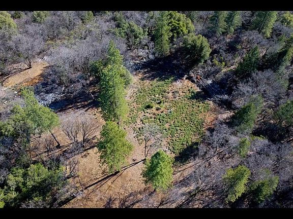 5th image of 17414 You Bet Rd