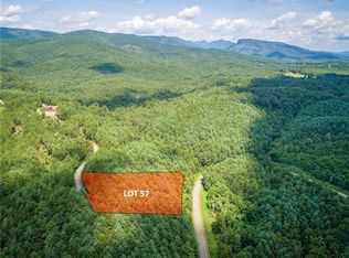 9587 Shortoff View Ter, Nebo, NC 28761