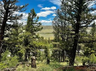 1063 Redhill Rd, Fairplay, CO 80440