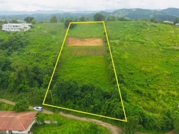 Carr 782 Bo Cejas Com Euclides #1, Comerio, PR 00782