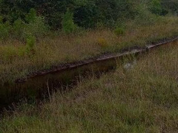 0 Buffalo Creek Dr, Nahunta, GA 31553