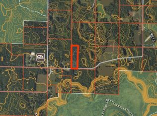 Dickson Rd, Brethren, MI 49619