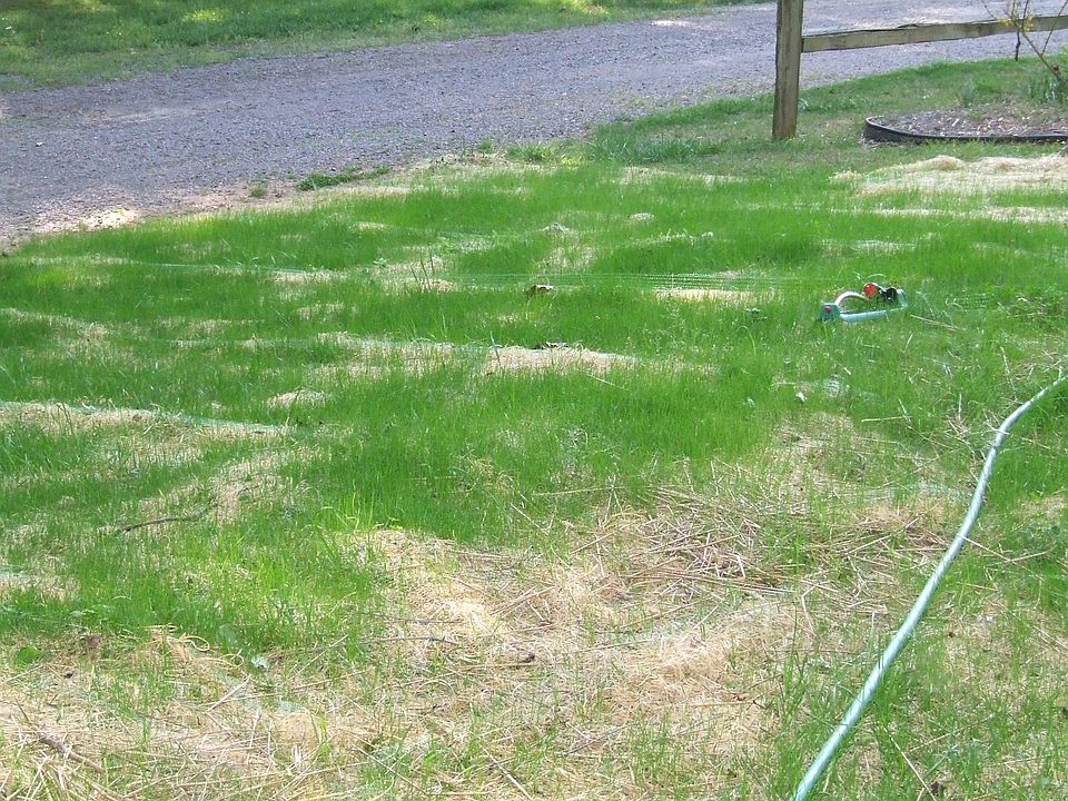 2nd image of 641 Gordon Dr
