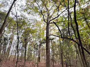 0 Elarton Rd, Osyka, MS 39657