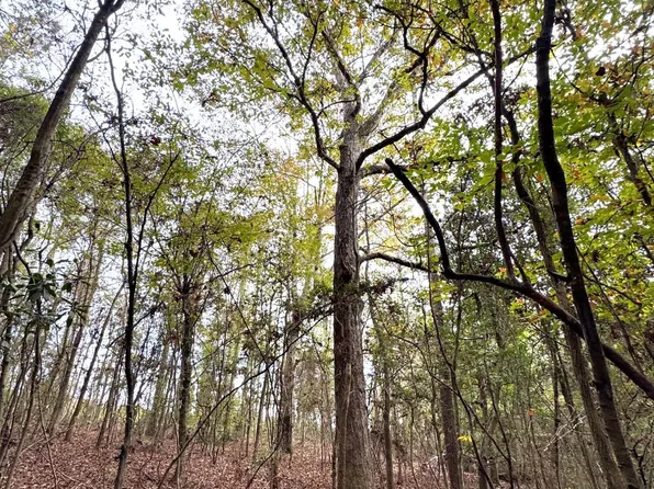 0 Elarton Rd, Osyka, MS 39657