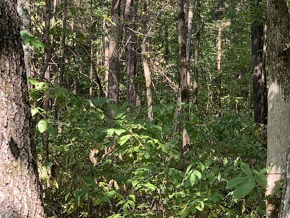 4th image of 0 Glendale Rd