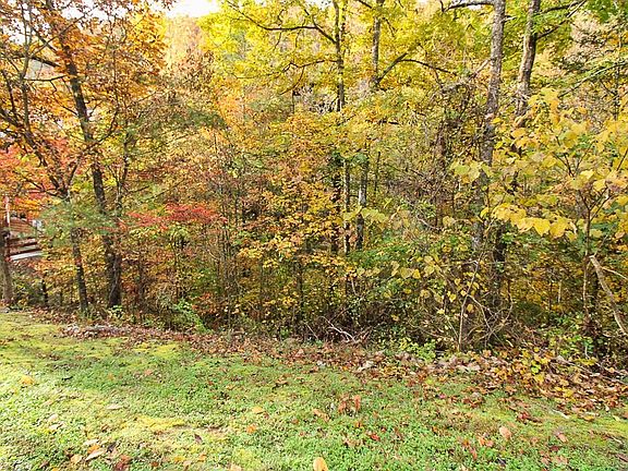 5th image of 85 Smoky Cove Rd