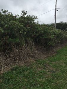 Kaulua Cir, Naalehu, HI, 96772