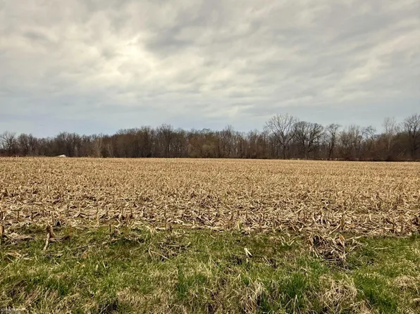 V/l B 5 Cork Rd, Morrice, MI 48857