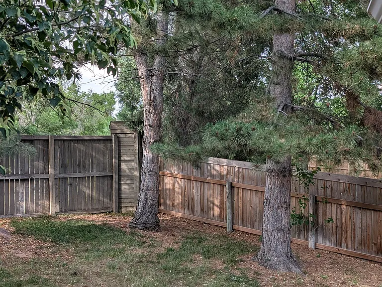 883 Osprey Ct — Photo 22