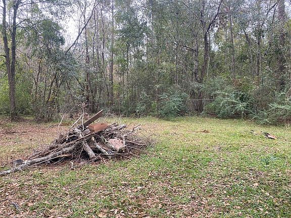 4th image of 137 Jasmine Dr