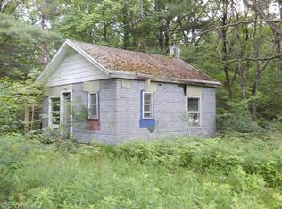 9182 E 88th St, Howard City, MI 49329