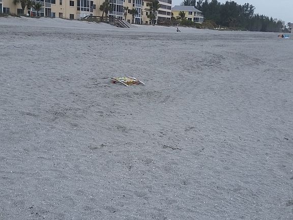 Beachfront