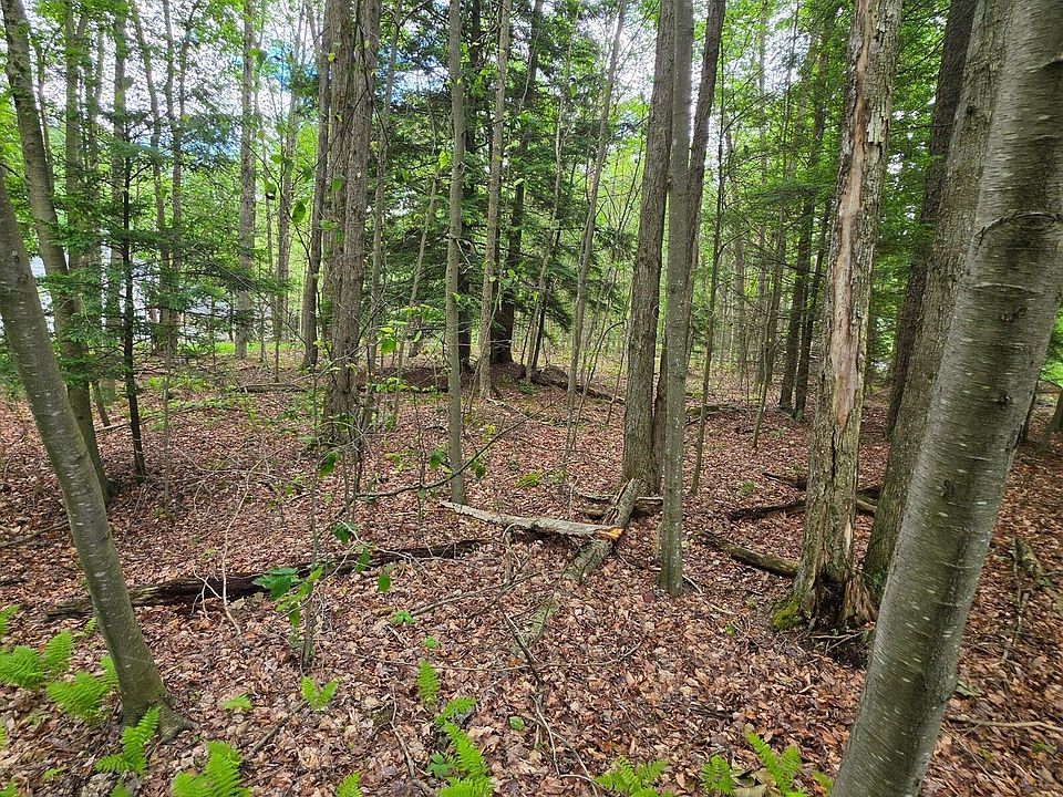 2nd image of PARCEL 80 Nordmont Rd Lot 21