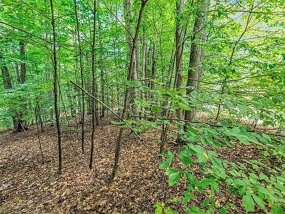 4th image of LOT 42 Mountain Woods Dr