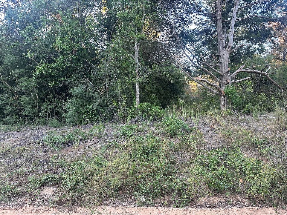 2nd image of 676 Patricia Dr
